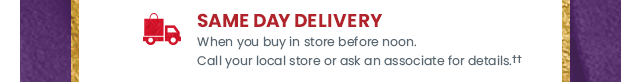 Same day delivery when you buy in store before noon. Call your local store or ask an associate for details.